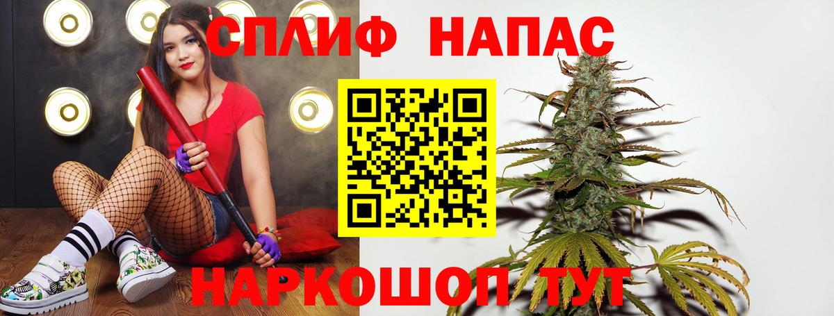 Бошки марихуана конопля Тавда